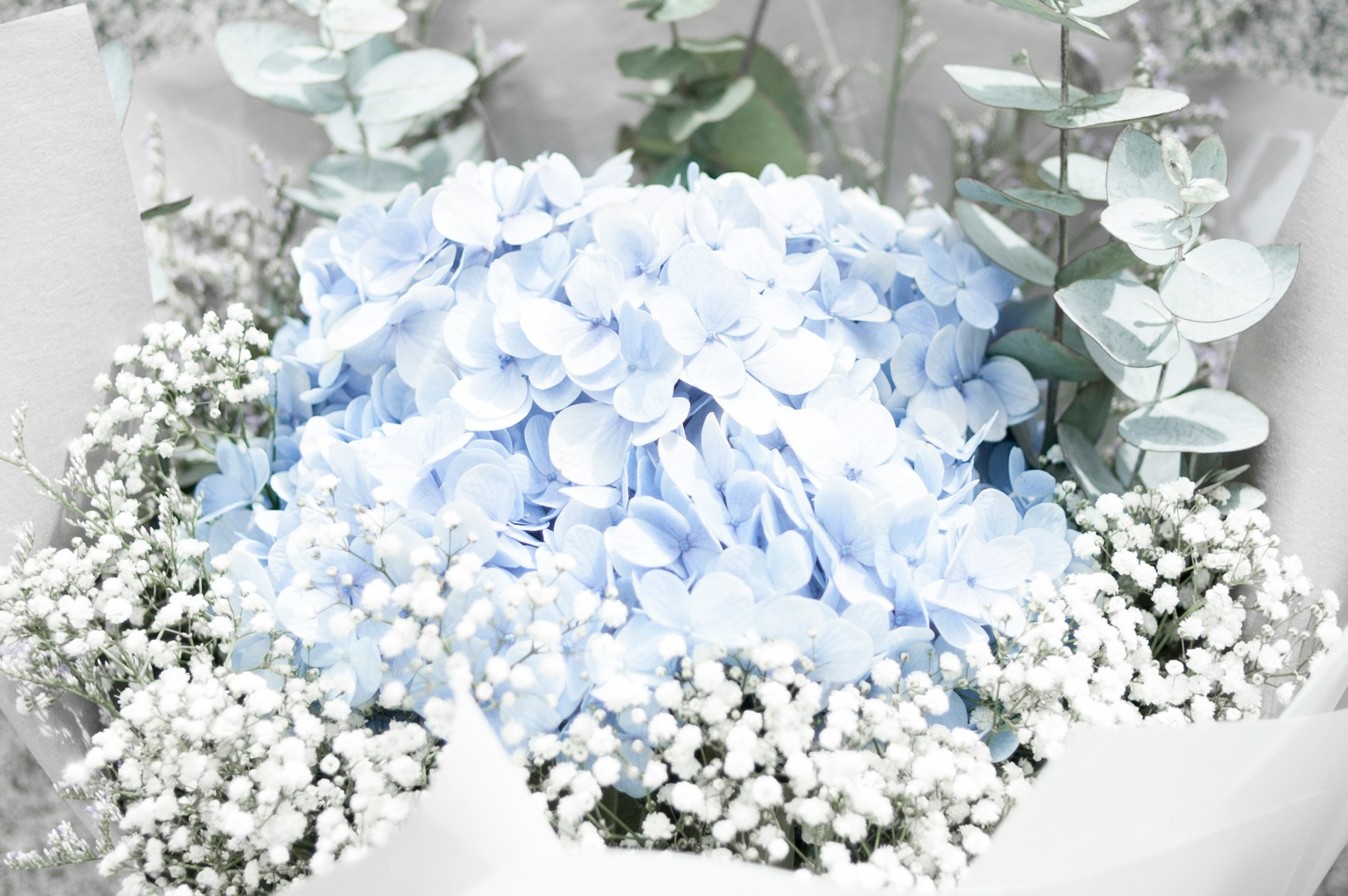 closeup photo of blue petaled flower arrangement